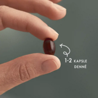 Astaxanthin a výtažek z borůvek Wellosophy - doplněk stravy 30 kapslí - Image 2