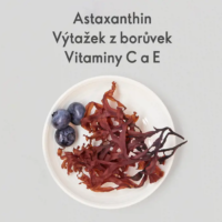 Astaxanthin a výtažek z borůvek Wellosophy - doplněk stravy 30 kapslí - Image 4