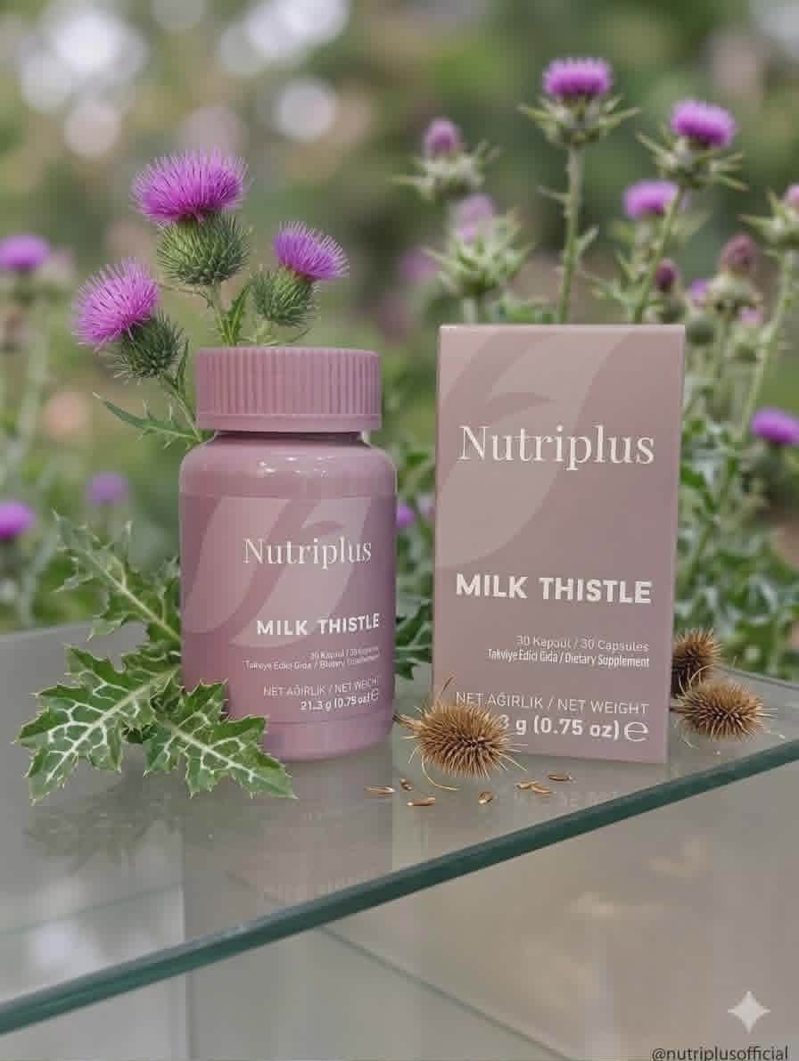 Nutriplus Ostropestřec mariánský- semena, ve formě kapslí. Doplněk stravy, 30 kapslí - Obrázek 2
